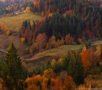 Карпатская осень