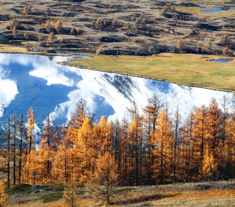 Осколки Джангысколя