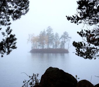 Остров в тумане