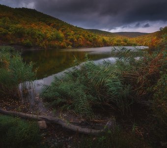 Осень в Крымском лесу.