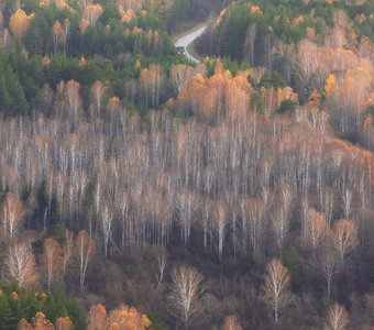 Затаился в зарослях грузовичок