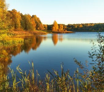 Осенняя Лебедянка