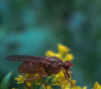 Обед по расписанию.