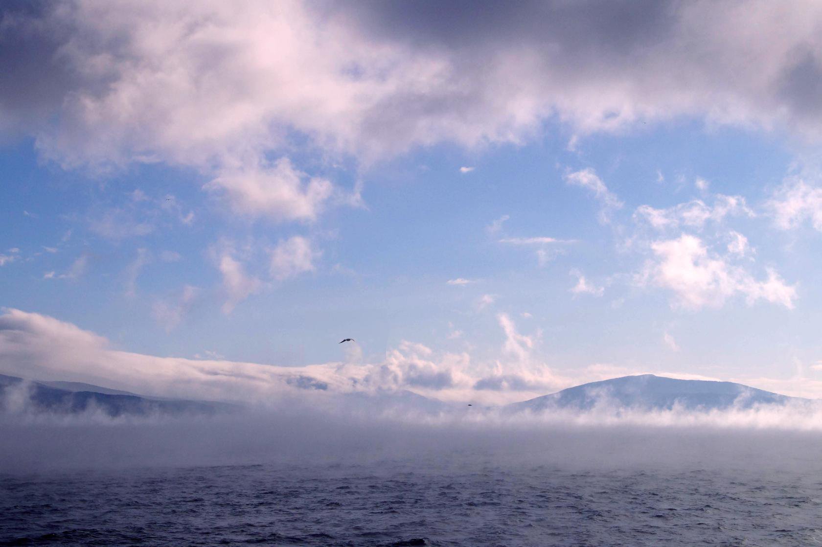 Кипящее Черное море...