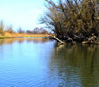 Осень на реке