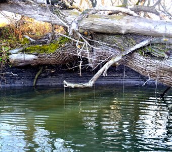 Осень на реке