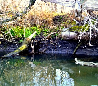 Осень на реке