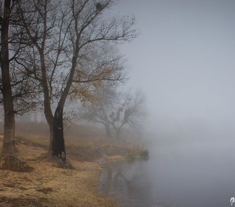 Утренний туман на Северском Донце