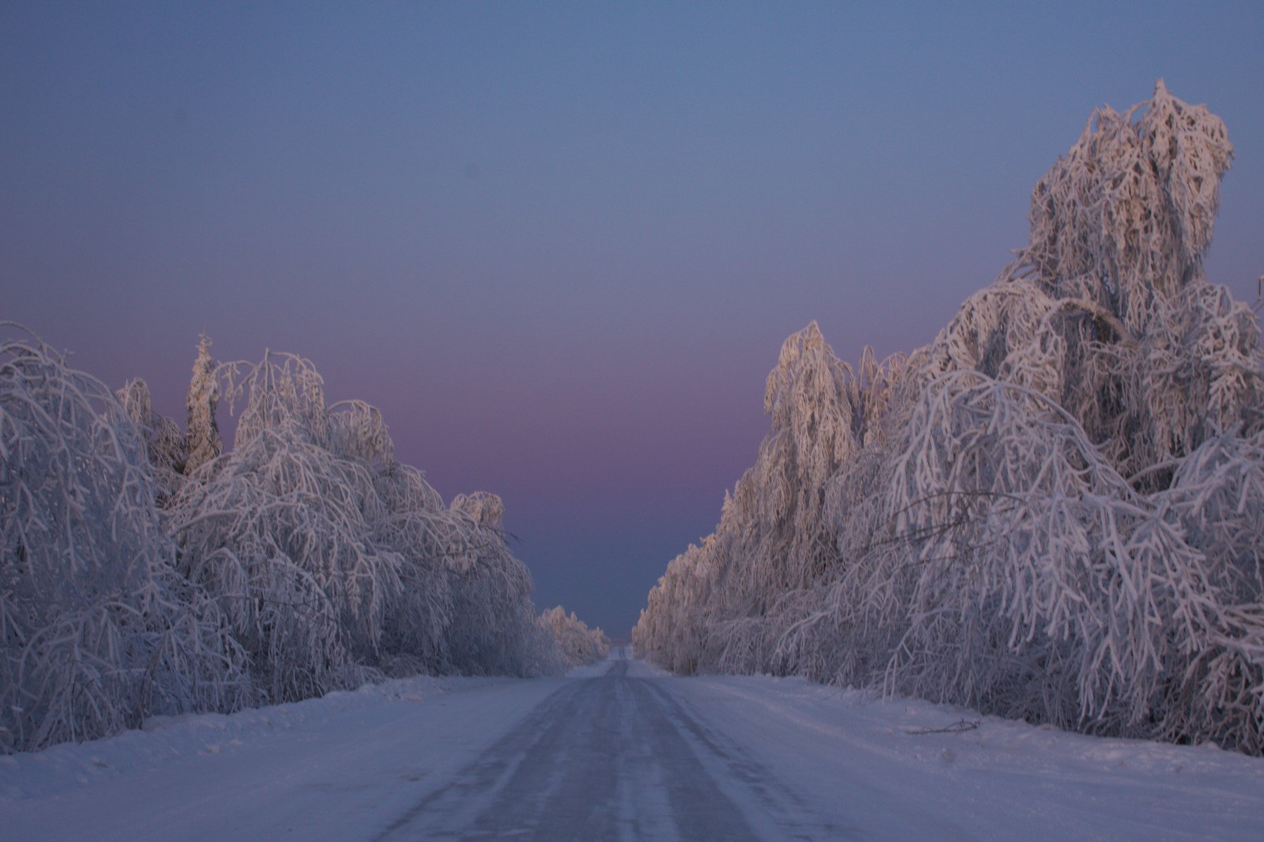 Зимняя дорога, вечер