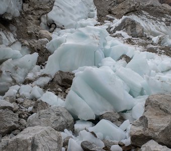 Ледник Шхельда