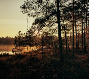 Рассвет на Бездонке