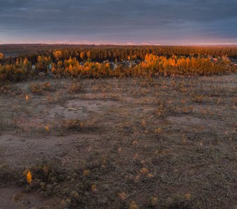 рассвет на болоте Ленинградской области