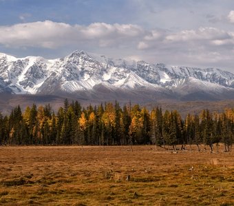 Алтайская осень.