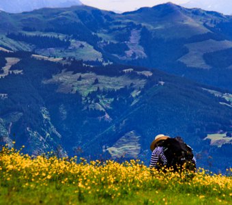 Нотки Прованса в австрийских горах