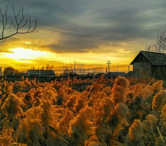 Родные края