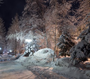 Белоснежные деревья в аллее Томска при свете фонарей