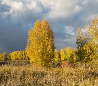 Золотая осень Томской области