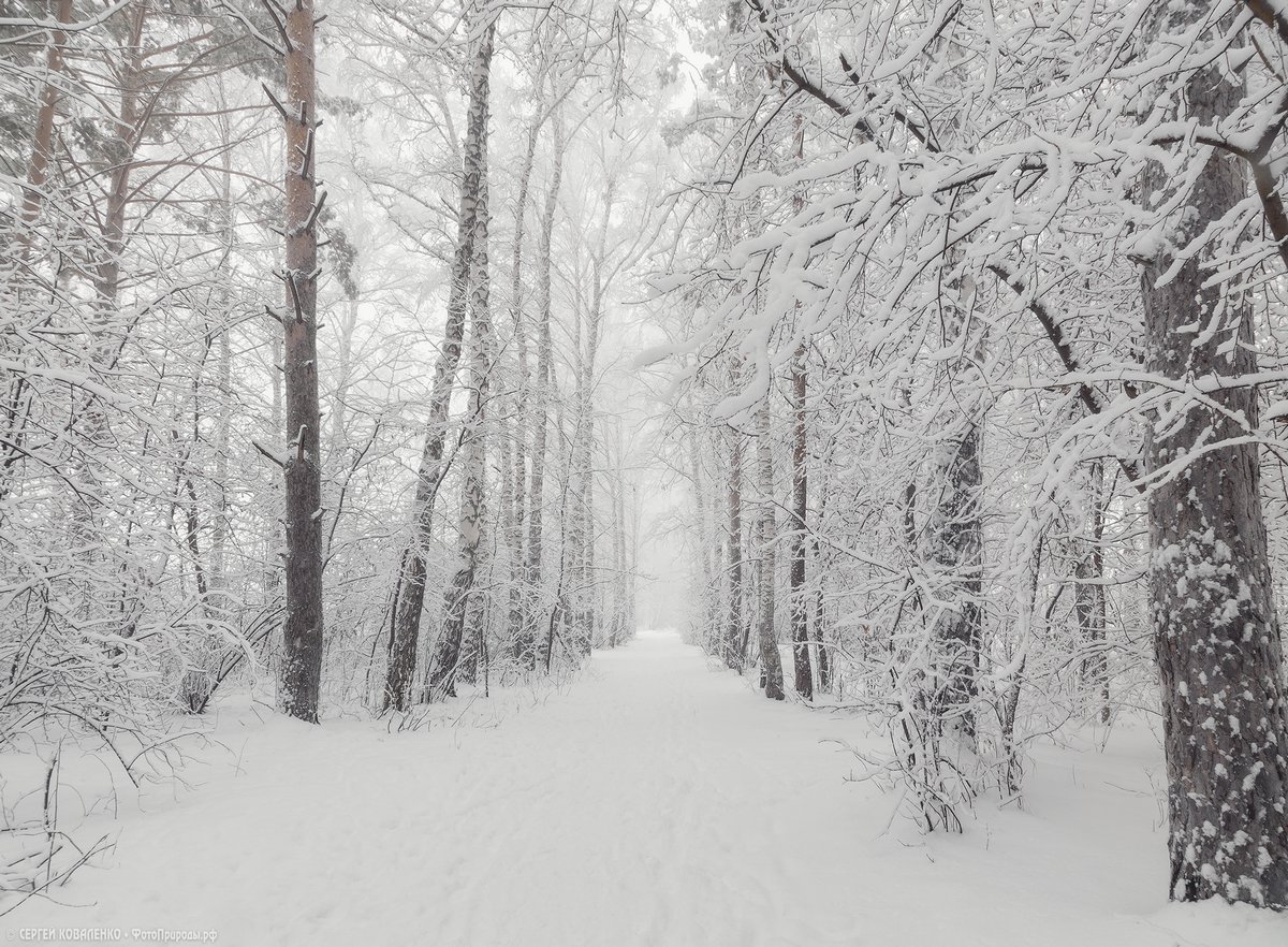 Волшебная зима в Томске