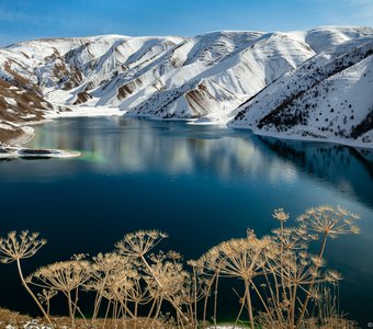 Высокогорное озеро Кезеной Ам. Чеченская Республика