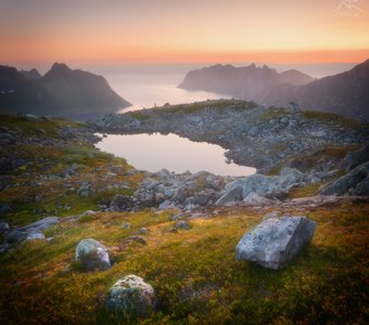 Летняя ночь