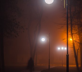 Прогулка в тумане