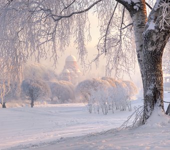 зима в Муринском парке...