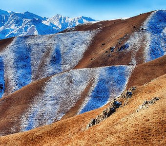 Орнамент кыргызской зимы