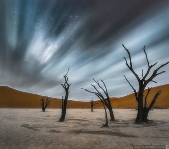 Ночь в пустыне Намиб