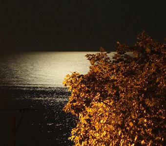 Лунный свет на море