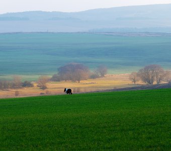 Тёплая осень в Крыму.