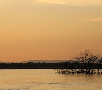 Закат над Руфиджи с крокодилом