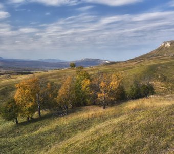 У октябрьских Шаханов...