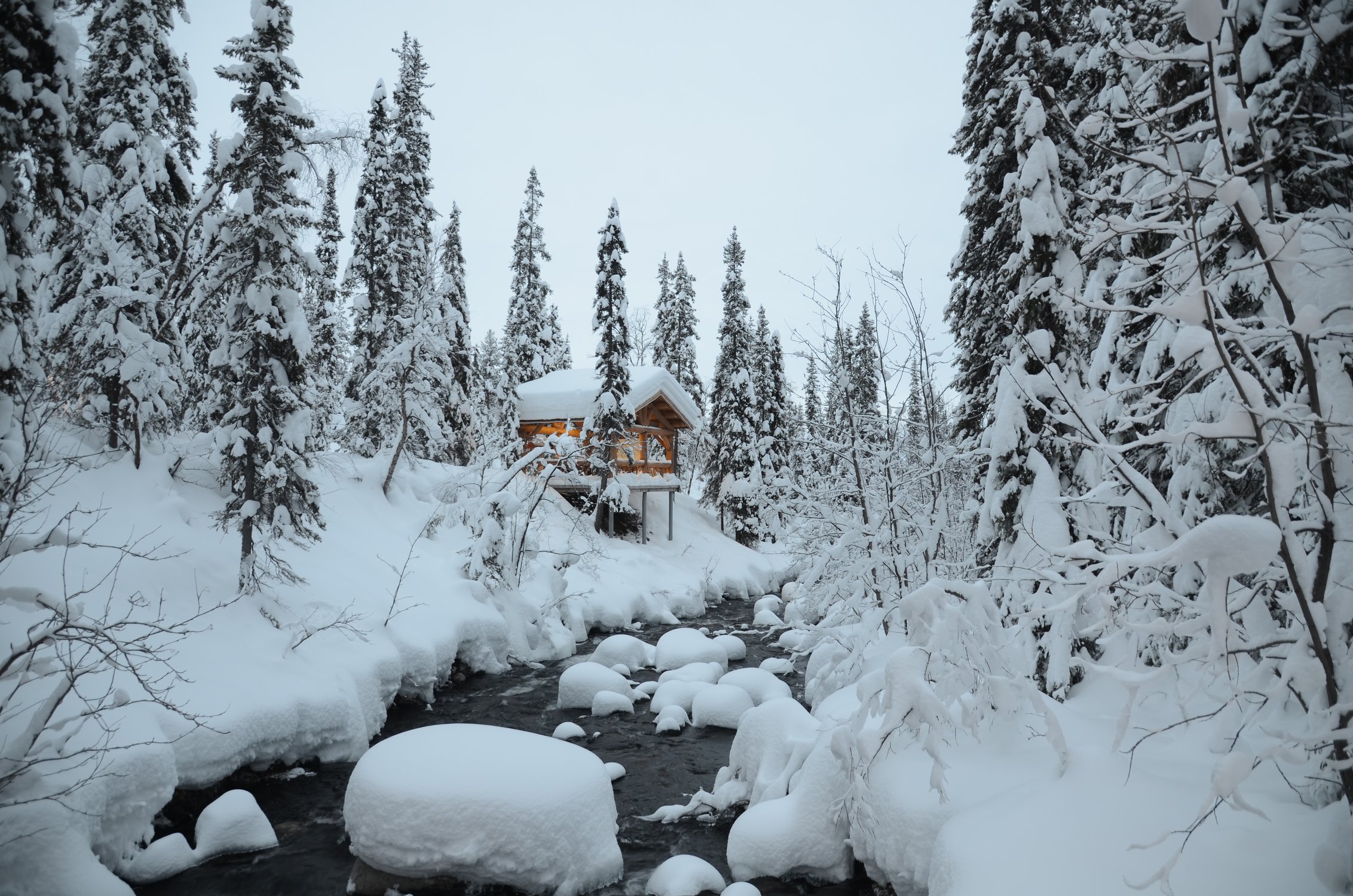 В зимней сказке леса.
