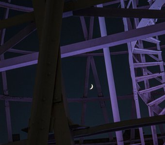 молодая луна