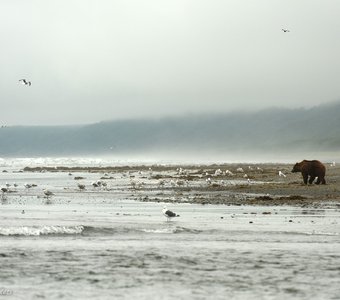 Наедине с морем