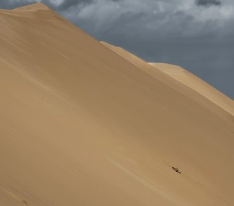 Песчаная дюна в Пиле. Самая большая дюна в Европе. Подняться без отдыха без передышки сложно.