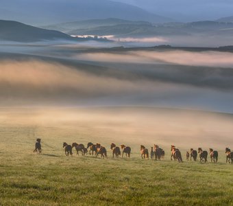 "Летящие к облакам"