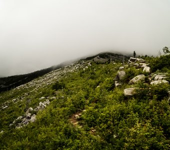 Вершина в тумане
