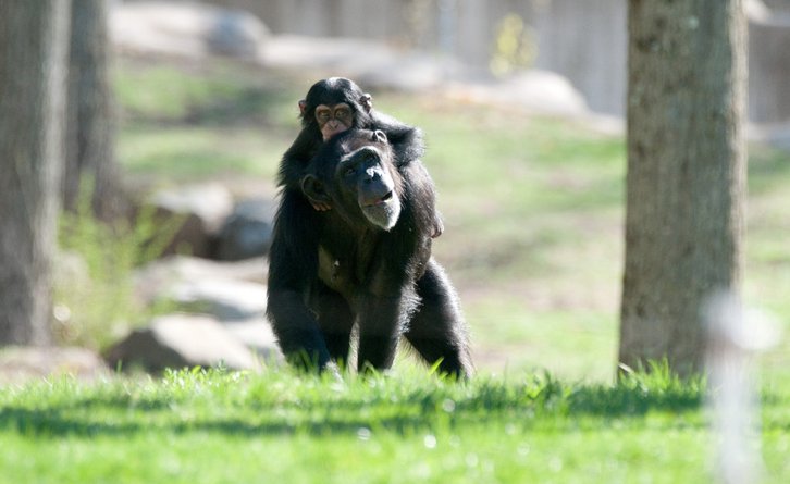 Фото: Eric Kilby/Flickr.com