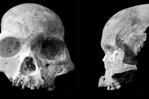 Древний человек мог скрываться в Оленьей пещере почти до наших дней