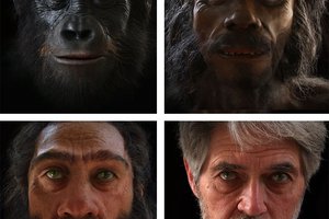 Как эволюция изменила человеческий облик: видео