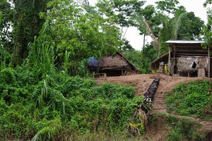 Индейцы Амазонки вынуждены идти на контакт ради спасения