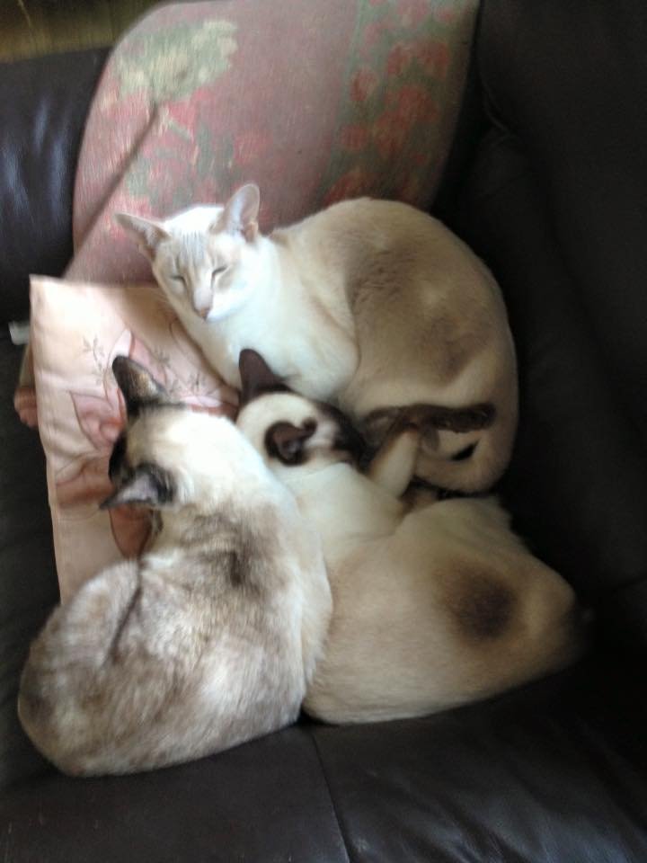 Фото: Julie Baggott