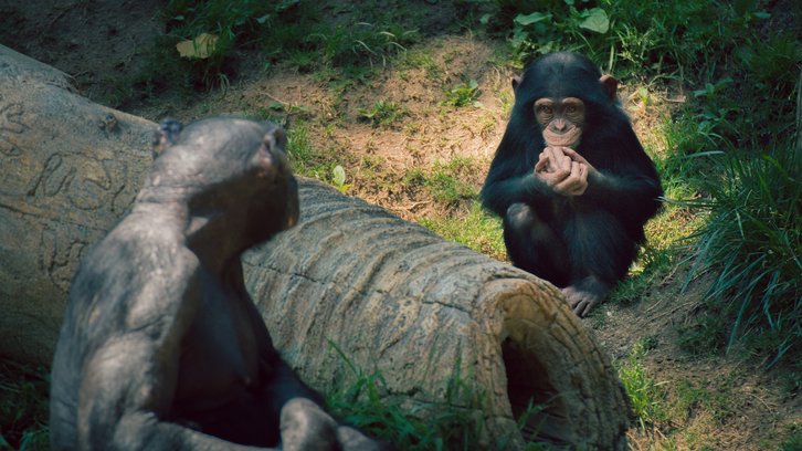 Фото: Ryan Summers/Flickr.com