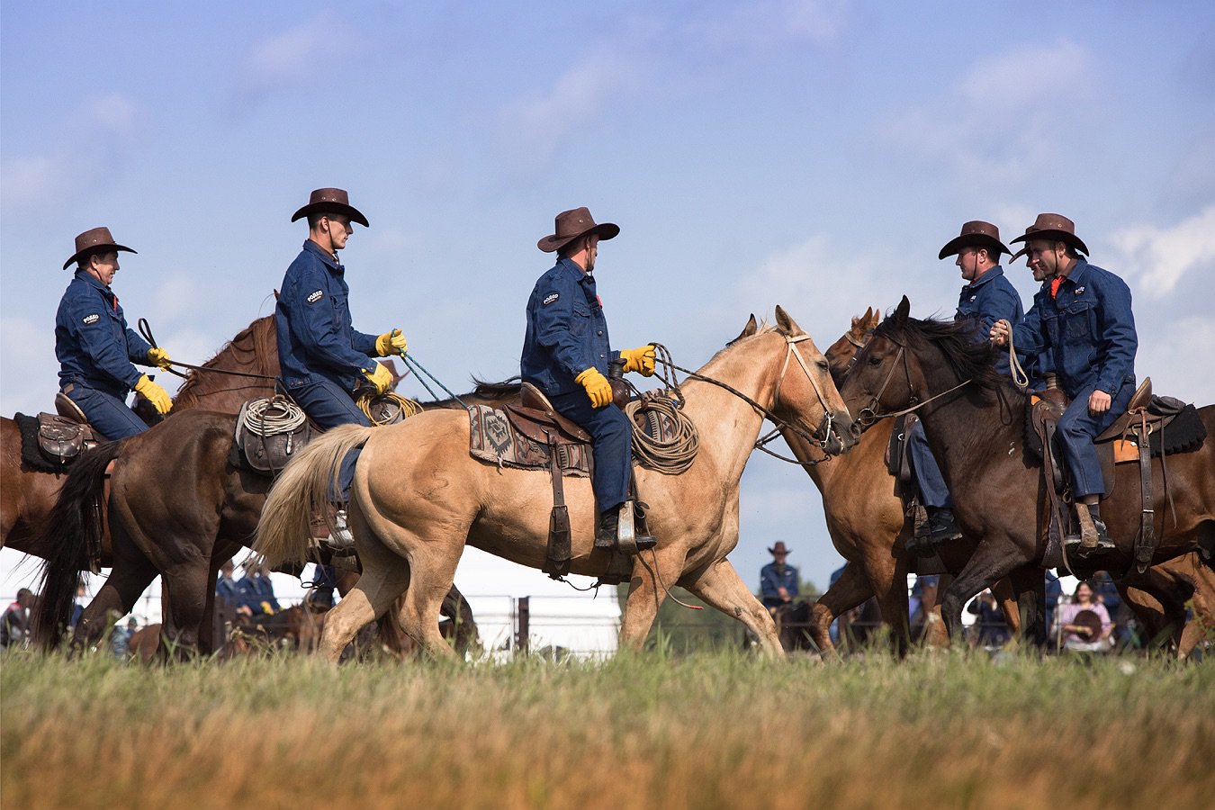 Fox hollow rodeo