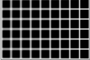 Сетка Германа: сколько черных точек вы видите?