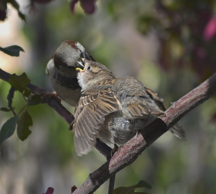 Фото: Мария Шевелева / фотохостинг Russian Traveler