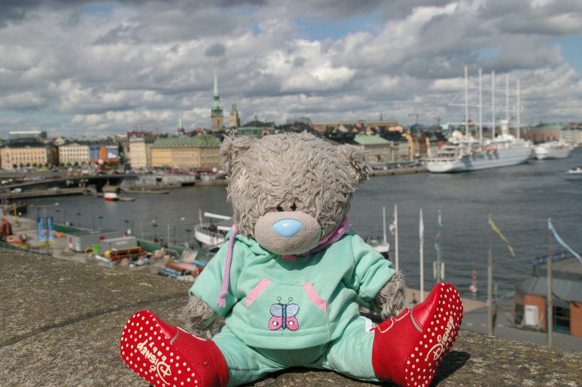 Путешественник