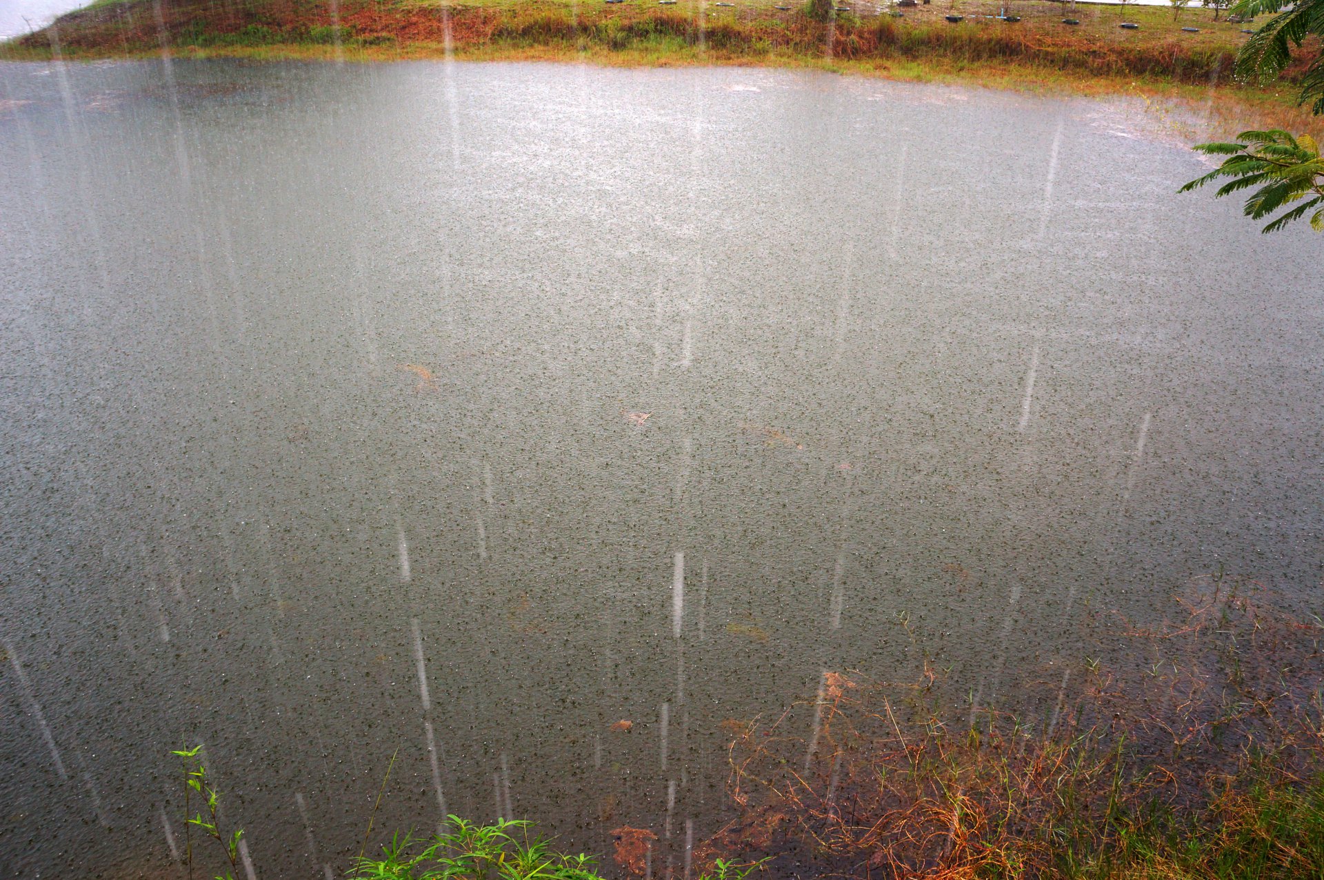 Немного о дожде в полуденный зной