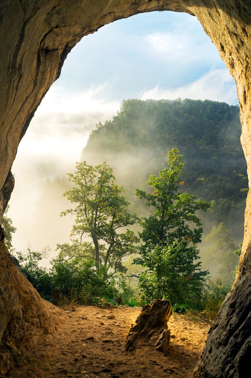 Навстречу новому дню